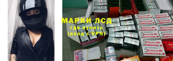 ALPHA-PVP Гусев