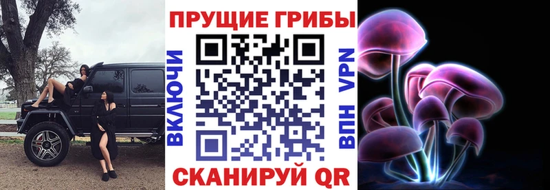 Галлюциногенные грибы Psilocybine cubensis  мега онион  Невинномысск 